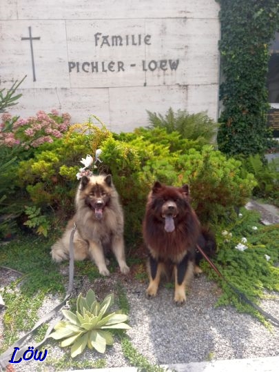 23.8.2025 - Gr&auml;berw&auml;chter